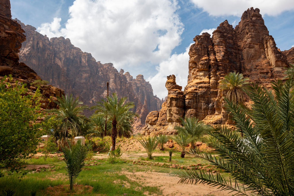 wadi-al-disa-tabuk